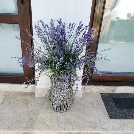 Casa Sunrise Affittacamere Mangalia